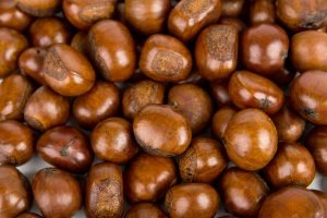 Castagne Garfagnana